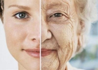 آنزیمی که به جلوگیری از پیری کمک می کند آنزیمی که به جلوگیری از پیری کمک می کند