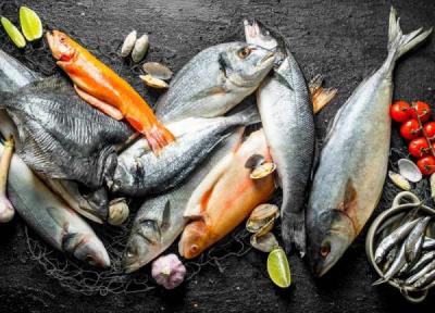 80 نکته راهنمای خرید ماهی ، چطور بفهمم ماهی در فصل مناسب صید شده؟ 80 نکته راهنمای خرید ماهی ، چطور بفهمم ماهی در فصل مناسب صید شده؟